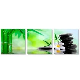 Tablouri canvas Plumeria bamboo 5708