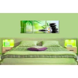Tablouri canvas Plumeria bamboo 5708