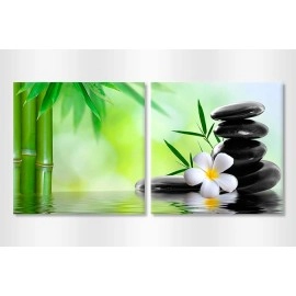 Tablouri canvas Relaxing plumeria 57608