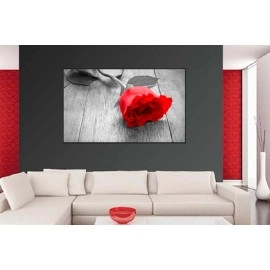 Tablouri canvas rosu trandafir 3870