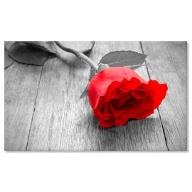 Tablouri canvas rosu trandafir 3870