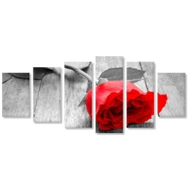 Tablouri canvas Trandafir rosu 38170