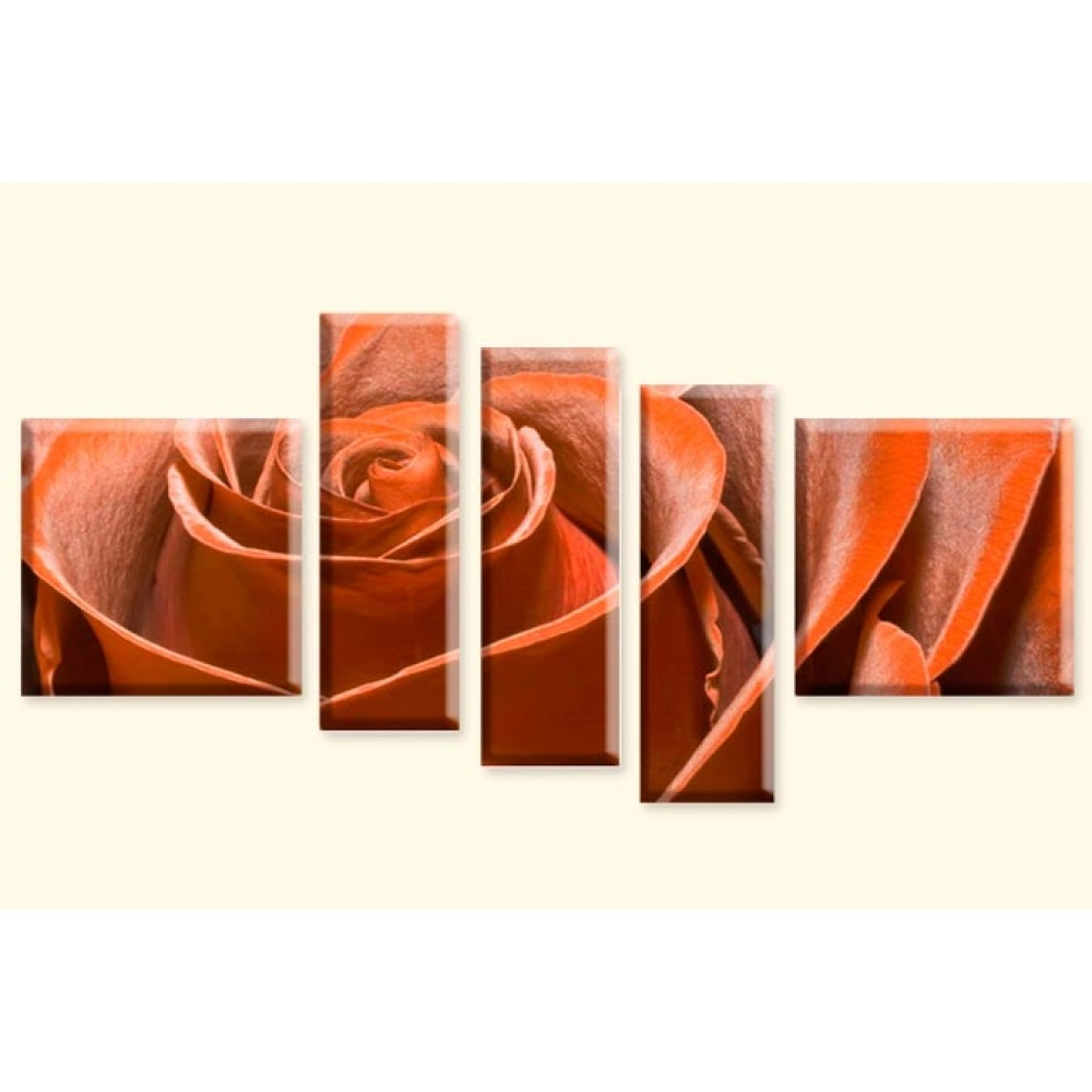 Tablouri canvas Trandafir 7979 - orange