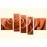 Tablouri canvas Trandafir 7979 - orange