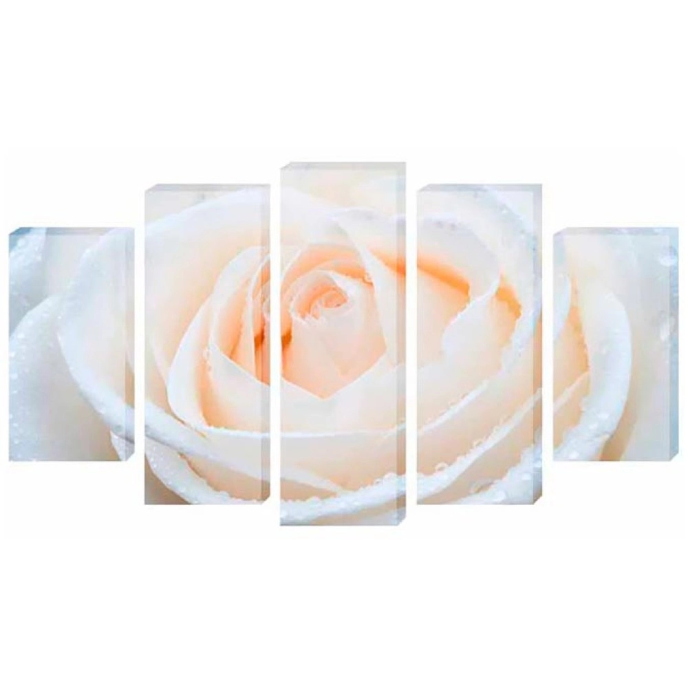 Tablouri canvas trandafir alb 4457
