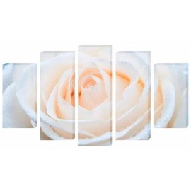 Tablouri canvas trandafir alb 4457