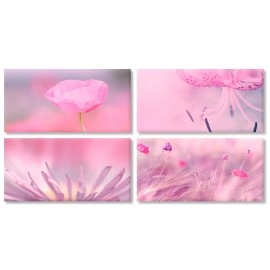 Tablouri canvas Roz Incamadin 6524