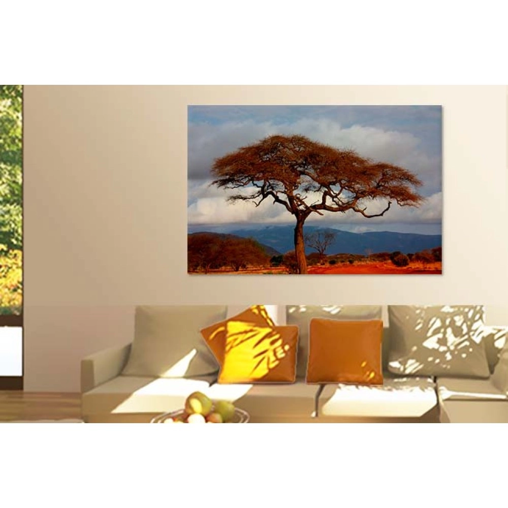 Tablouri canvas Safari 16949