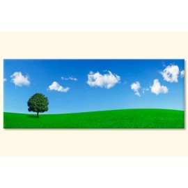 Tablouri canvas Copac si cer albastru 87465