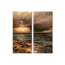 Tablouri canvas Stanci si pescarusi 3071