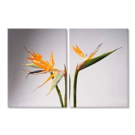 Tablouri canvas Flori strelitia 4450