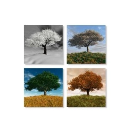 Tablouri canvas 4 anotimpuri 2087