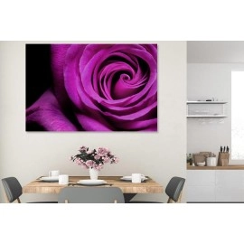 Tablouri canvas trandafir 11626