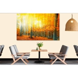 Tablou peisaj rasarit in padure 10100