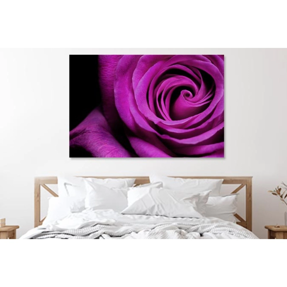 Tablouri canvas trandafir 11626