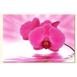 Tablouri canvas Orhidee 40315