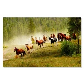 Tablou herghelie mustangi 18173