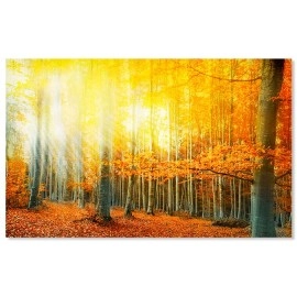 Tablou peisaj rasarit in padure 10100
