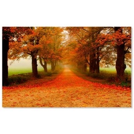 Tablou canvas peisaj drum de toamna