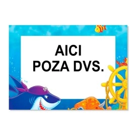 Tablouri canvas camera copii 4717