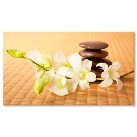 Tablouri canvas Orhidee bambus 10142