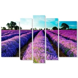 Tablouri canvas Camp Lavanda 2691