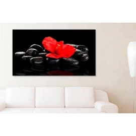 Tablou relax floare rosie pe pietre