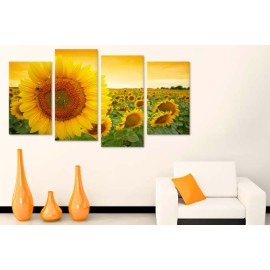 Tablouri canvas floarea soarelui