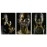 Tablouri canvas 3 piese fashion cu auriu