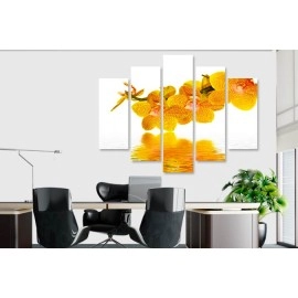 Tablouri canvas Orhidee 53501