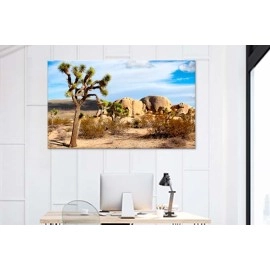 Tablouri canvas Joshua 74399