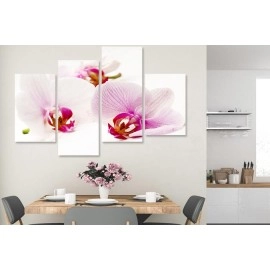 Tablouri canvas Orhidee 5691