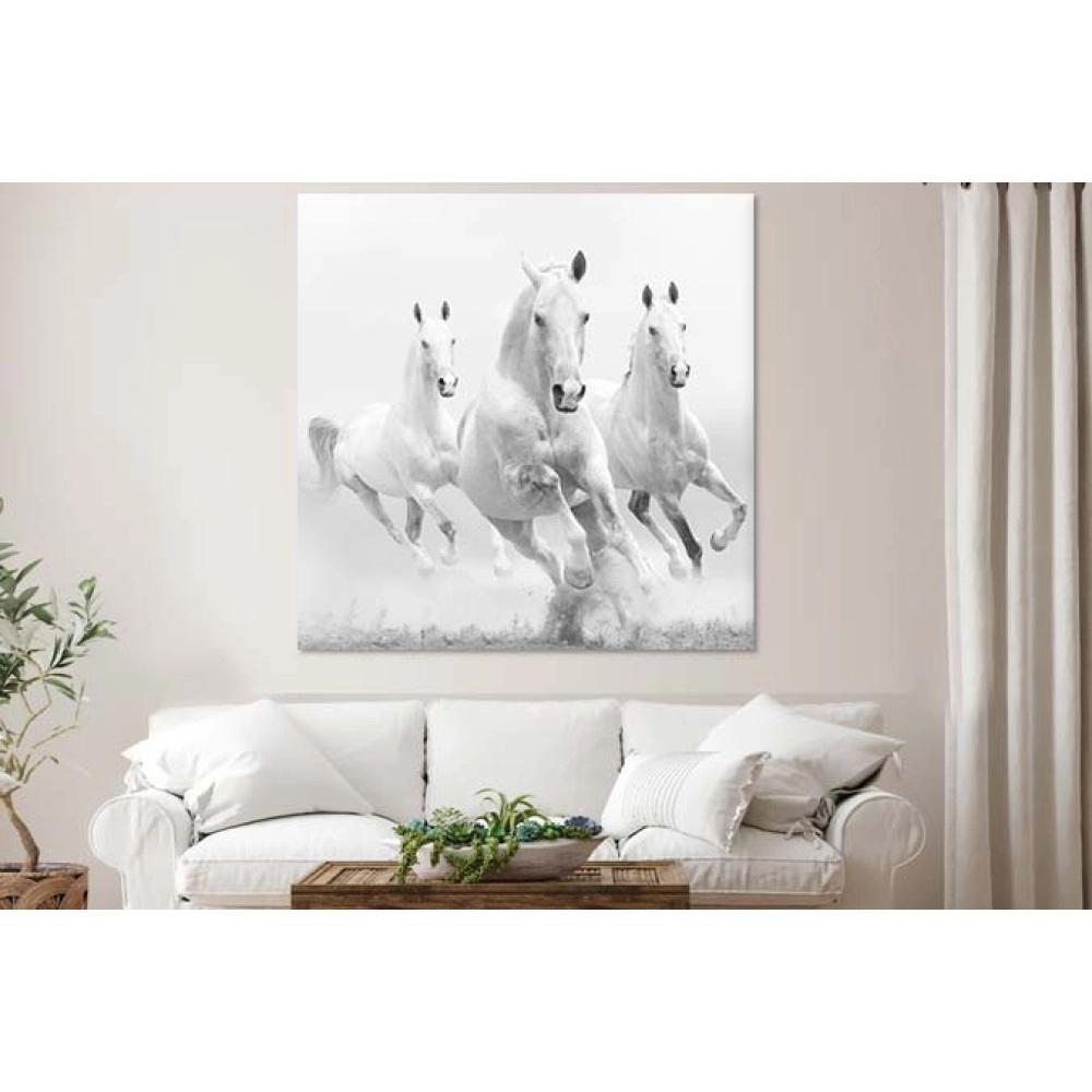 Tablouri canvas cai albi 48121