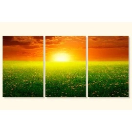 Tablouri canvas camp cu flori