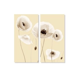 Tablouri maci stil pe bej 45287