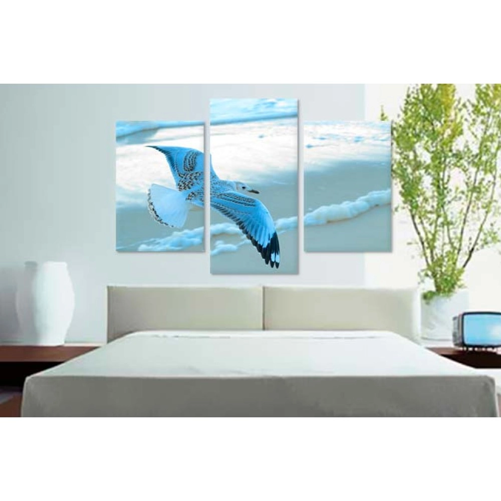 Tablouri canvas Pescarus in zbor 25340