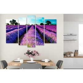 Tablouri canvas Camp Lavanda 2691