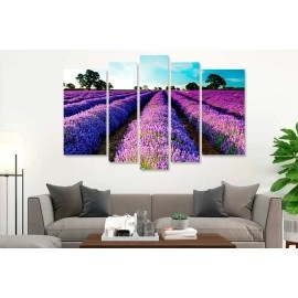 Tablouri canvas Camp Lavanda 2691