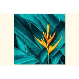 Tablou strelitia si frunze verzi-turcoaz