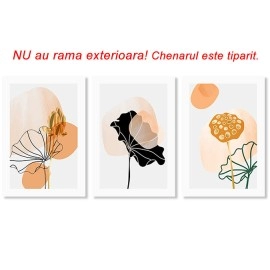 Tablouri canvas 3 piese culori calde