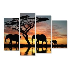 Tablouri canvas Africa 51741