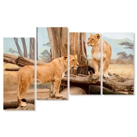Tablouri canvas Africa 2140
