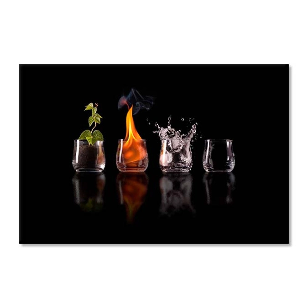 Tablouri canvas bauturi 5621