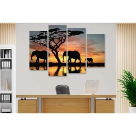 Tablouri canvas Africa 51741