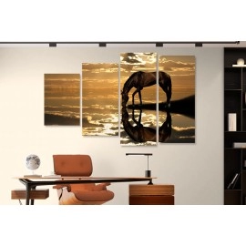 Tablouri canvas Cal la adapat 25164