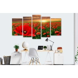 Tablouri canvas Camp cu maci 4187