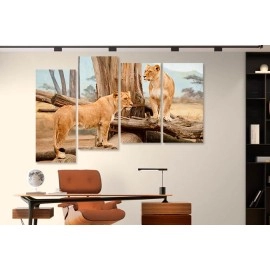Tablouri canvas Africa 2140