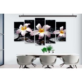 Tablouri canvas Tablouri Plumeria stropi 7540