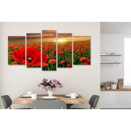 Tablouri canvas Camp cu maci 4187