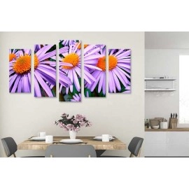 Tablouri canvas aster mov 5764
